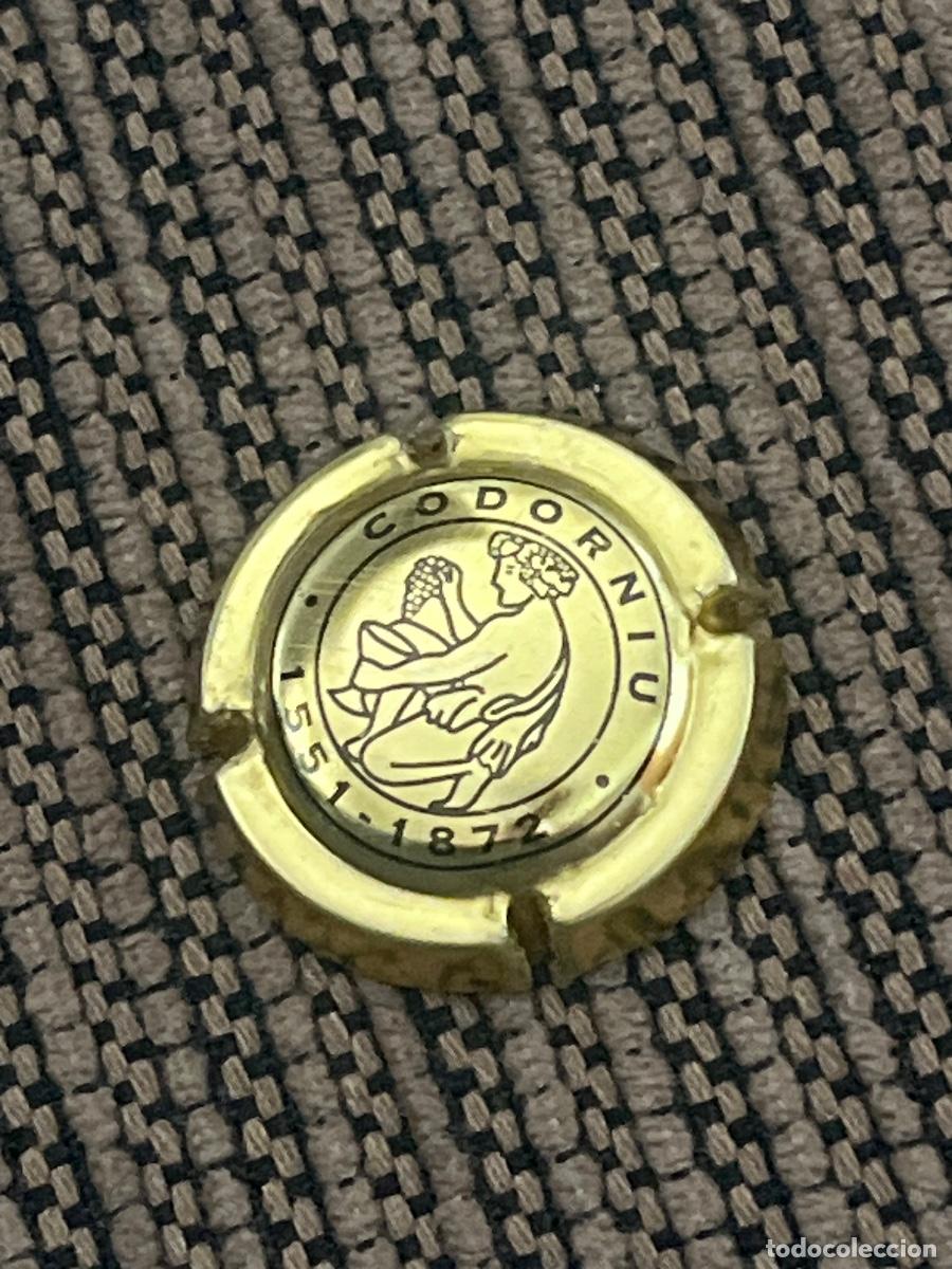 Coleccionismo de cava: ANNA CODORNIU | Chapa Placa de Cava Champagne - Foto 1