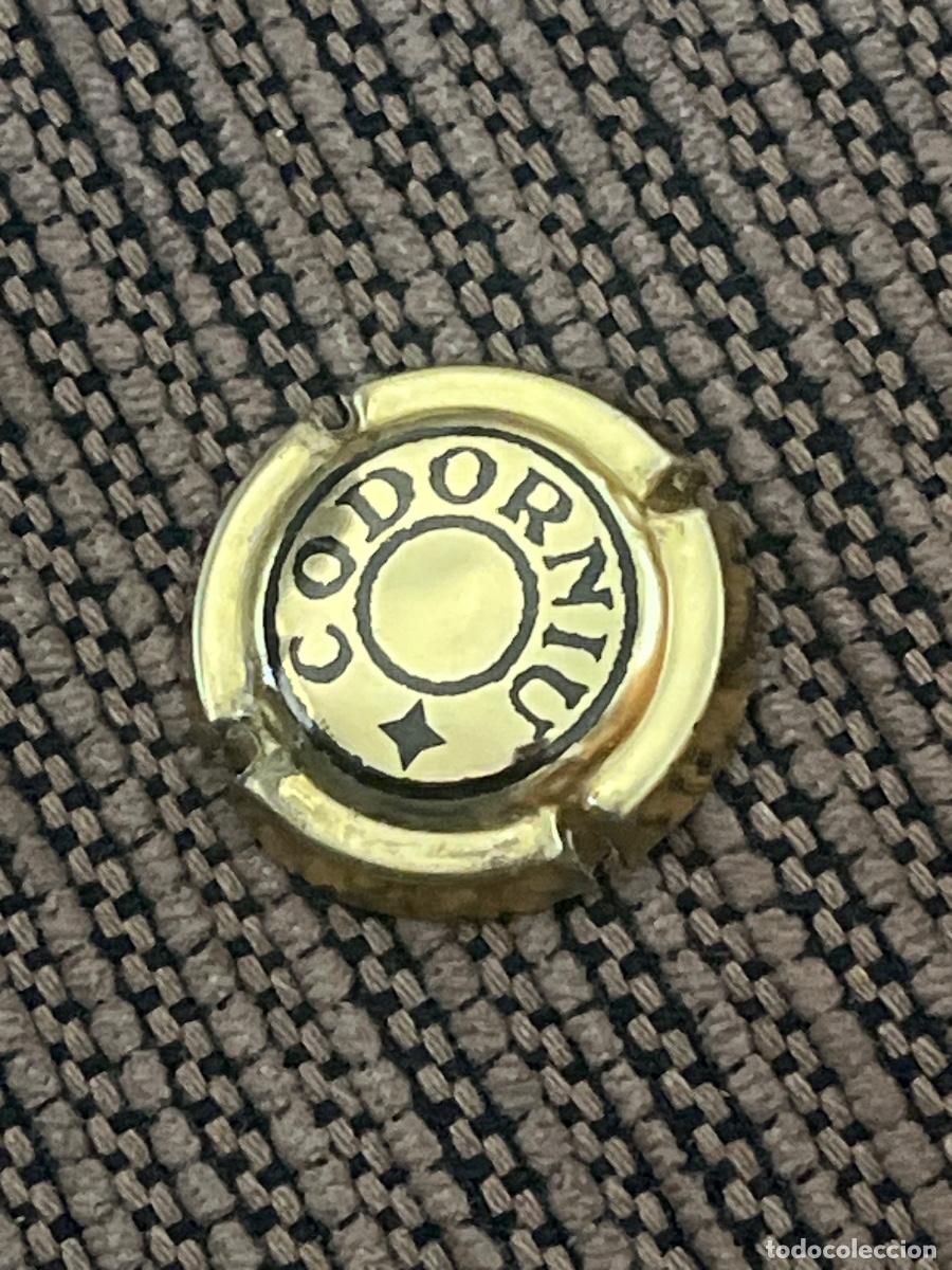 Coleccionismo de cava: ANNA CODORNIU | Chapa Placa de Cava Champagne - Foto 1