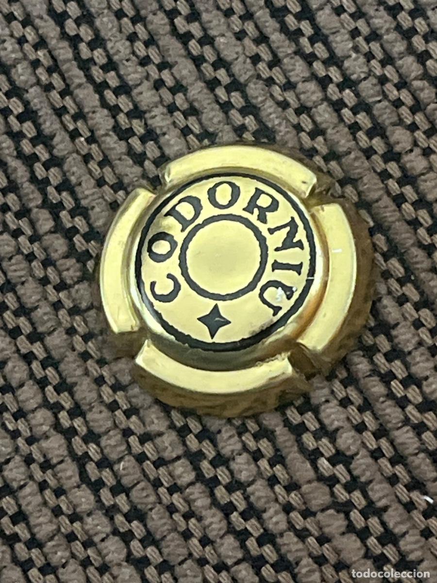Coleccionismo de cava: ANNA CODORNIU | Chapa Placa de Cava Champagne - Foto 1