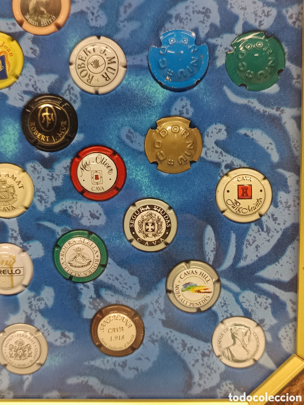 Coleccionismo de cava: Cuadro con colecci&oacute;n de chapas Cava - Foto 5