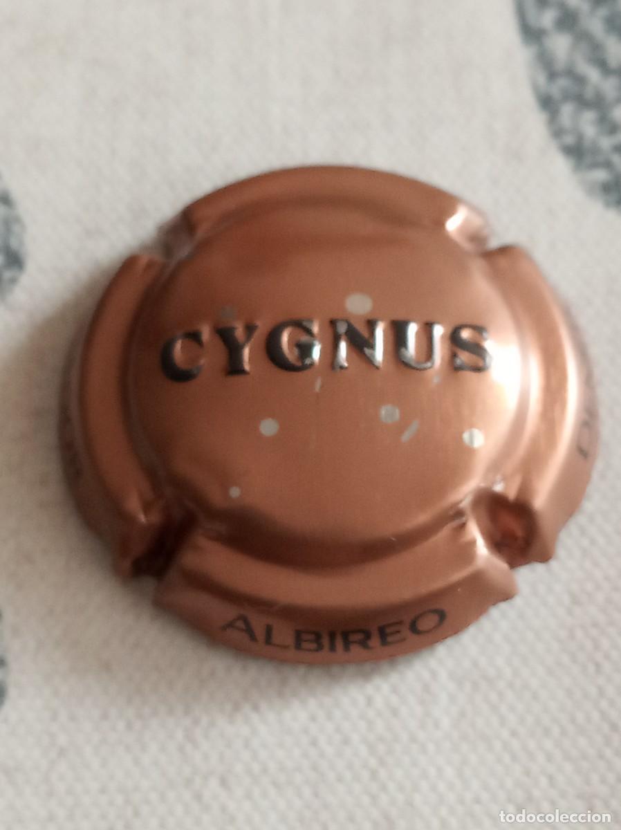 Coleccionismo de cava: Placa de cava Cygnus + Regalo - Foto 1