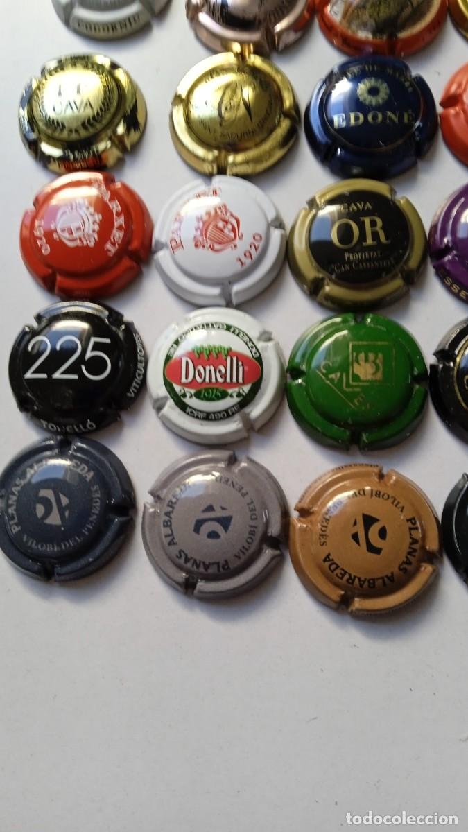 Coleccionismo de cava: CHAPAS DE CAVA 45 Diferentes - Foto 2