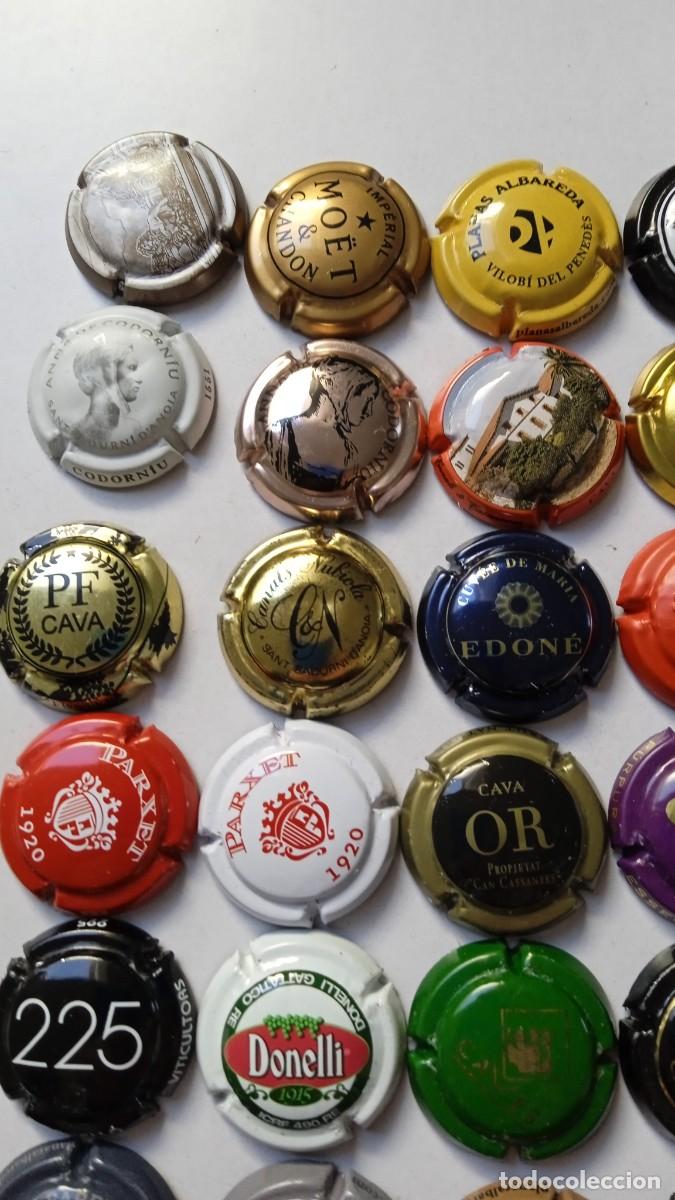 Coleccionismo de cava: CHAPAS DE CAVA 45 Diferentes - Foto 3