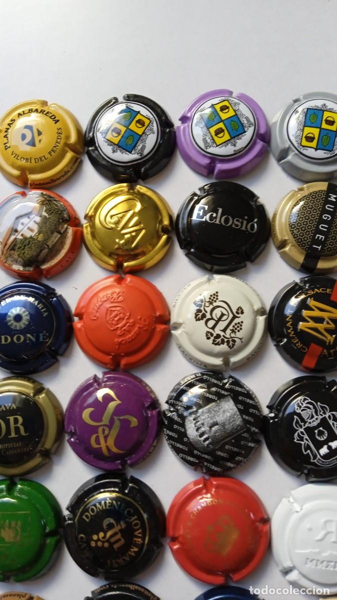 Coleccionismo de cava: CHAPAS DE CAVA 45 Diferentes - Foto 4