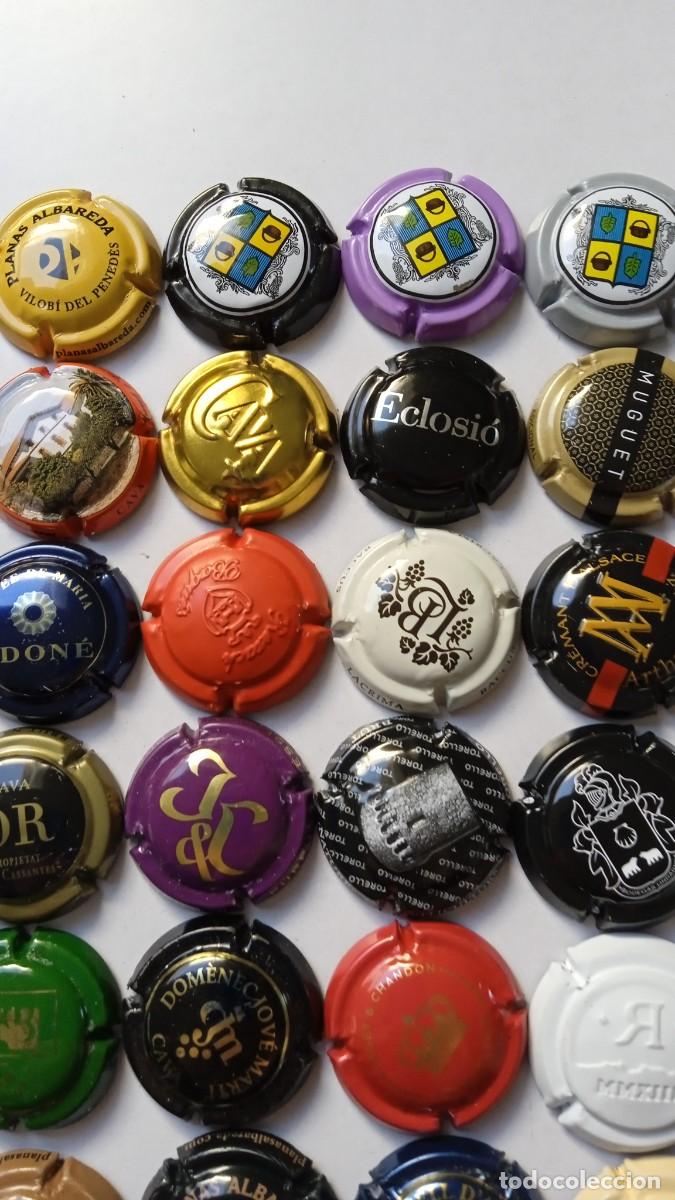 Coleccionismo de cava: CHAPAS DE CAVA 45 Diferentes - Foto 5