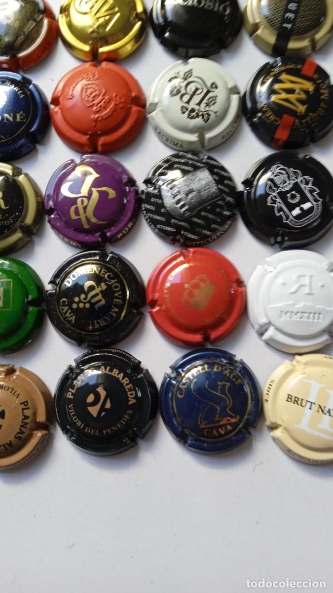 Coleccionismo de cava: CHAPAS DE CAVA 45 Diferentes - Foto 6