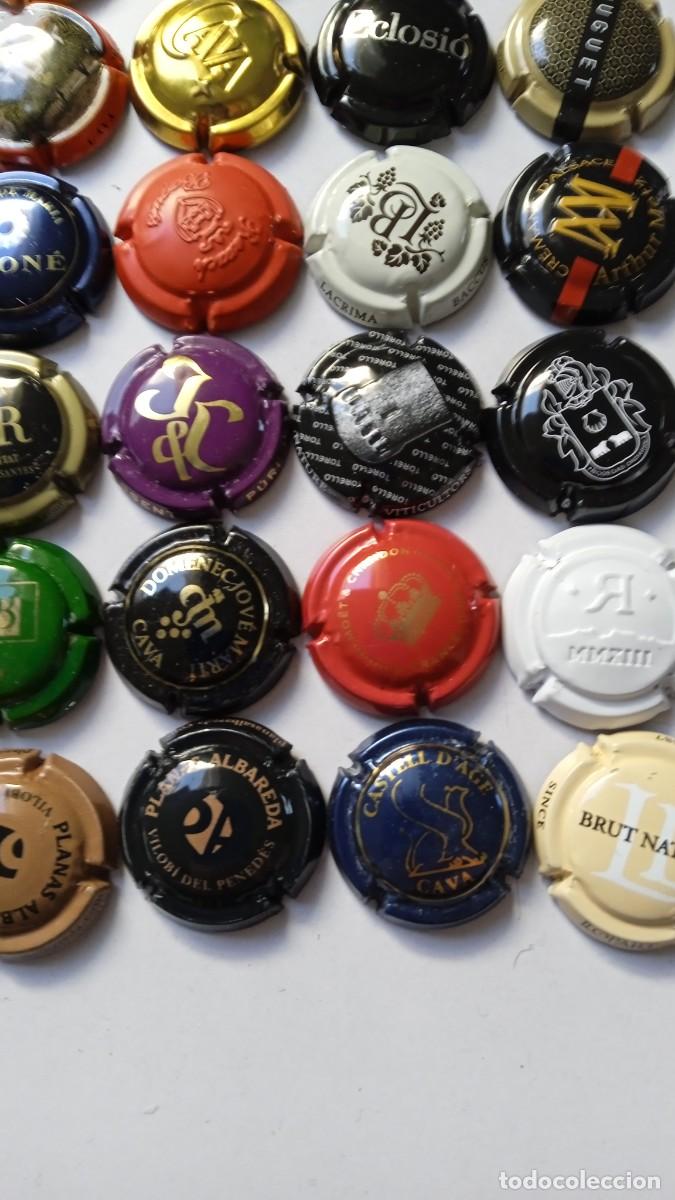 Coleccionismo de cava: CHAPAS DE CAVA 45 Diferentes - Foto 7