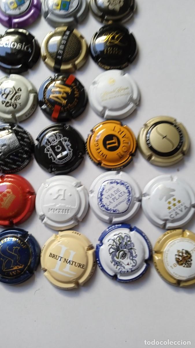 Coleccionismo de cava: CHAPAS DE CAVA 45 Diferentes - Foto 8