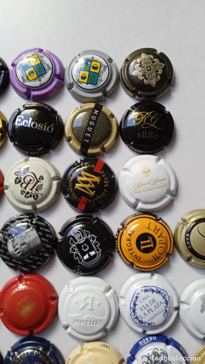 Coleccionismo de cava: CHAPAS DE CAVA 45 Diferentes - Foto 9