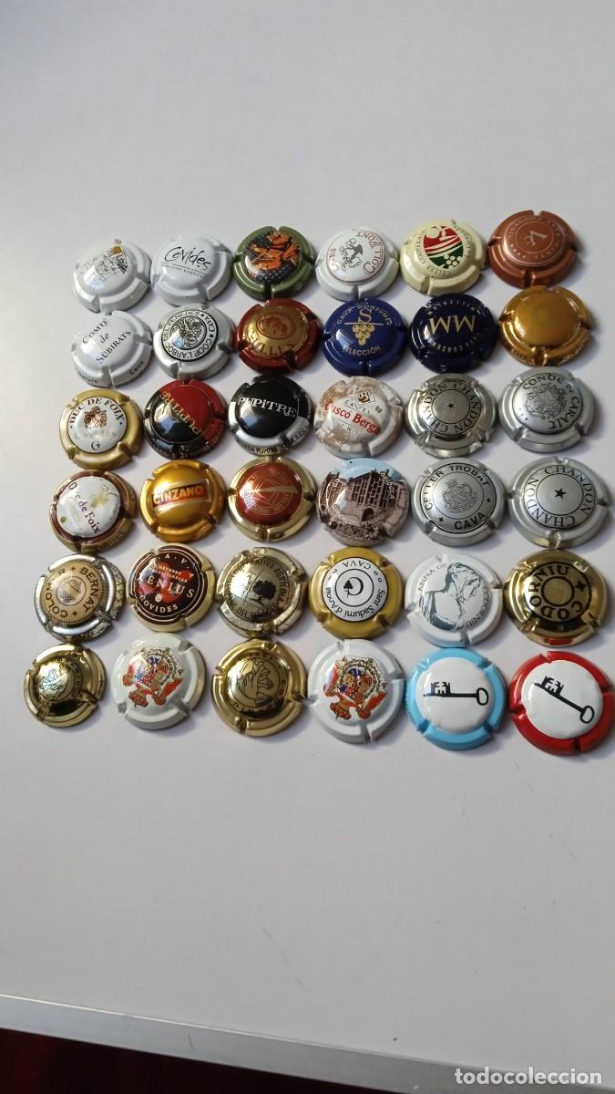 Coleccionismo de cava: CHAPAS DE CAVA Diferentes 36 - Foto 1
