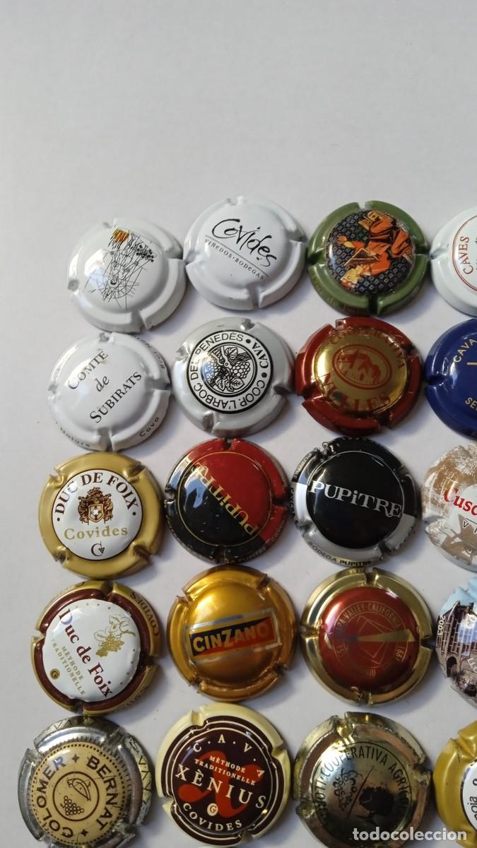 Coleccionismo de cava: CHAPAS DE CAVA Diferentes 36 - Foto 2