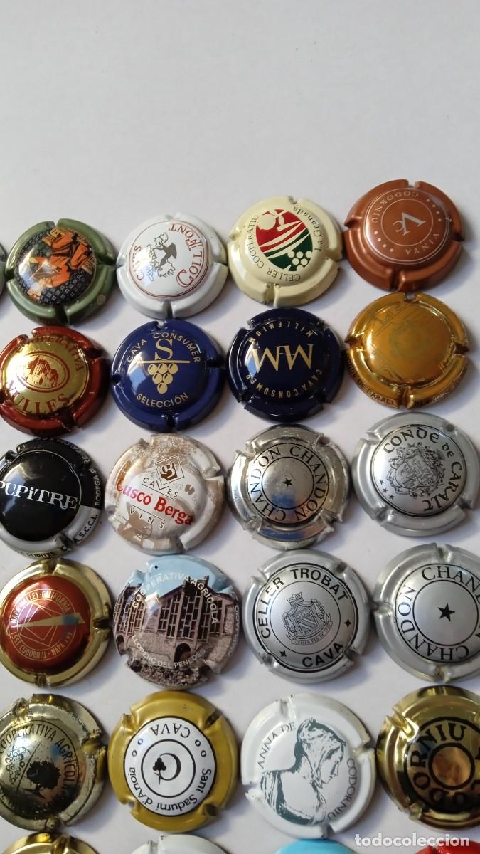 Coleccionismo de cava: CHAPAS DE CAVA Diferentes 36 - Foto 3