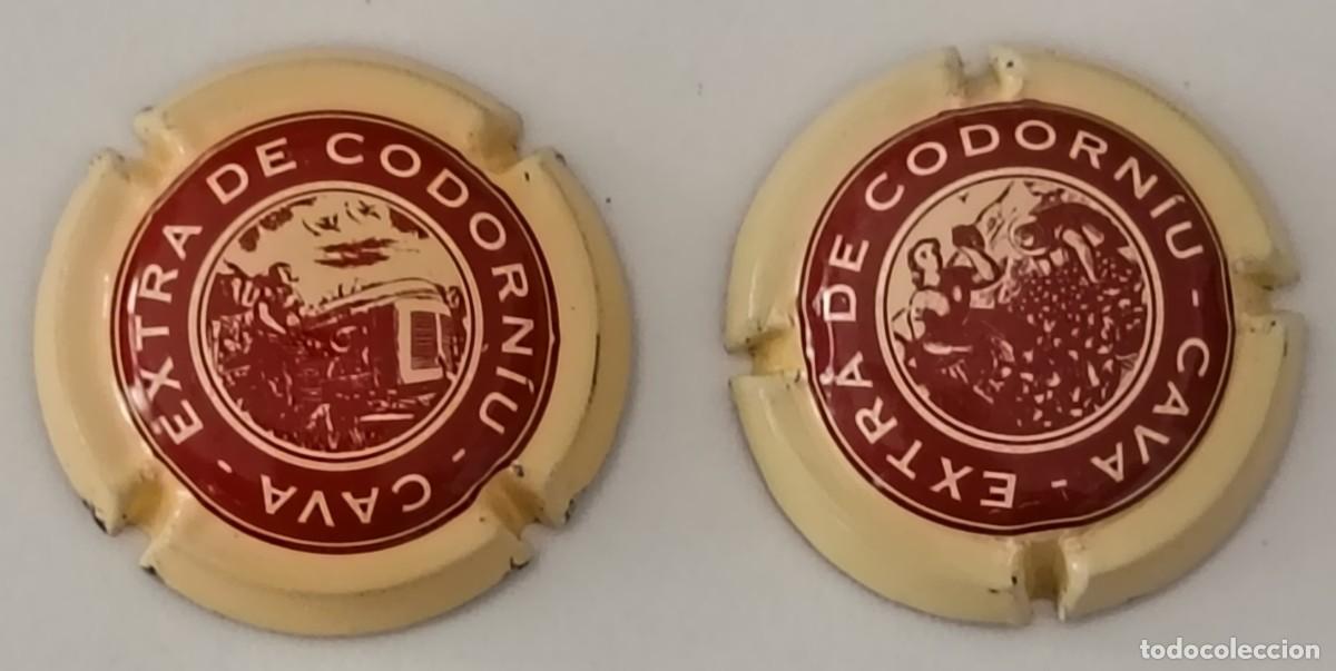 Coleccionismo de cava: 2 Chapas de cava. Codorniu. Cava Extra Codorniu. - Foto 4