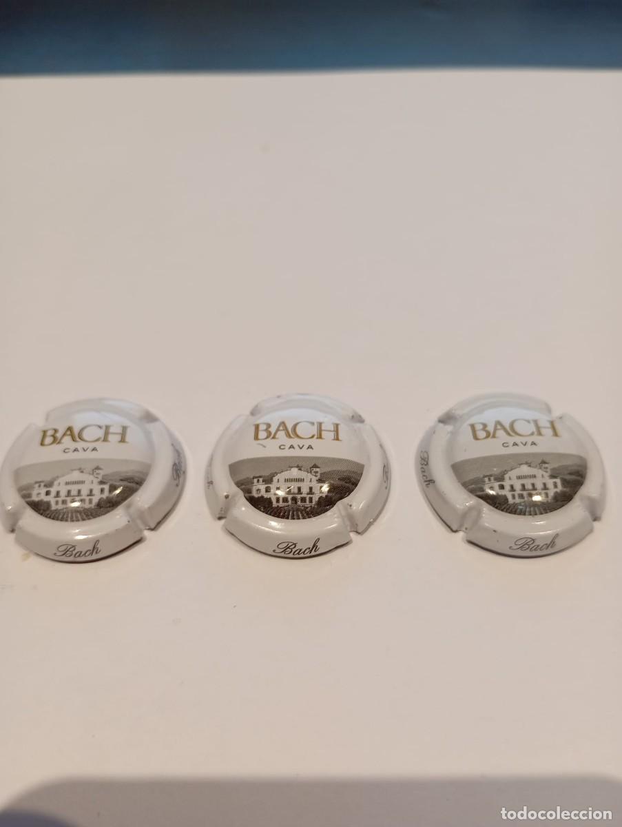 Coleccionismo de cava: Chapa de Cava de Back, unidad - Foto 1