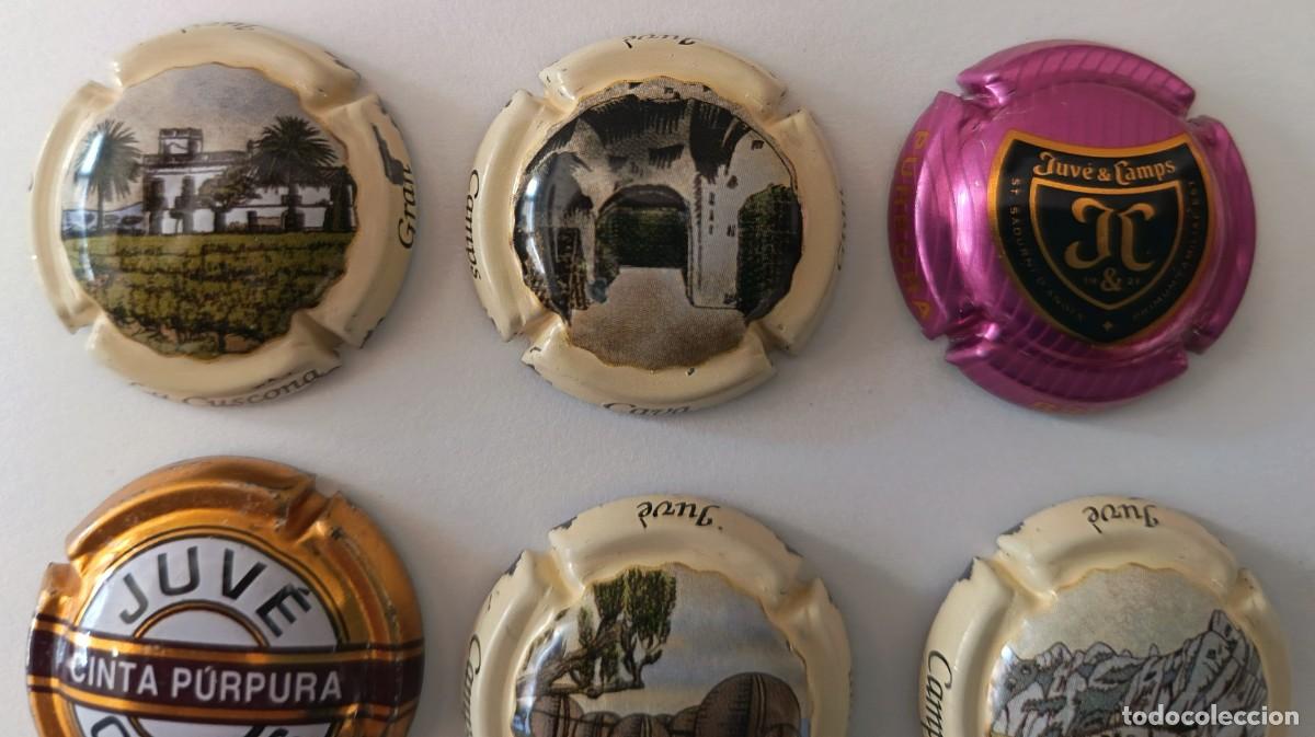 Coleccionismo de cava: 9 Chapas de cava. Juve Camps. - Foto 2