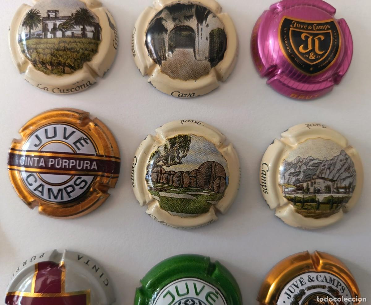 Coleccionismo de cava: 9 Chapas de cava. Juve Camps. - Foto 3
