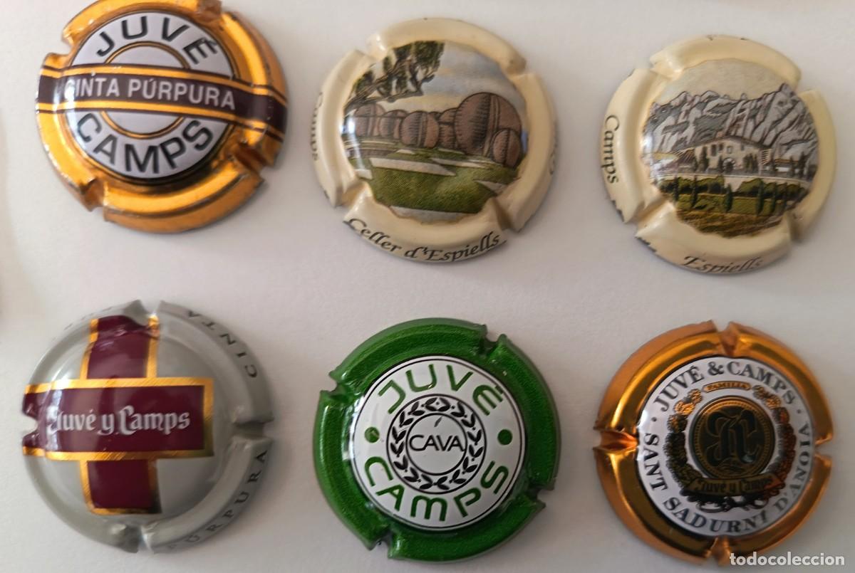 Coleccionismo de cava: 9 Chapas de cava. Juve Camps. - Foto 4