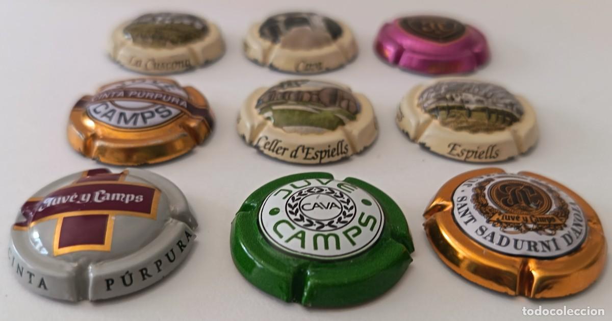 Coleccionismo de cava: 9 Chapas de cava. Juve Camps. - Foto 7