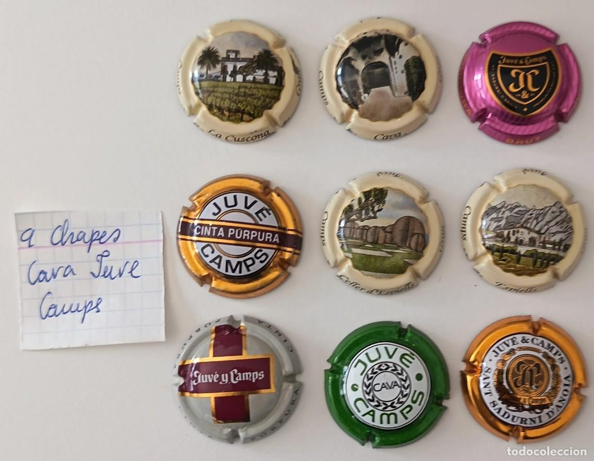 Coleccionismo de cava: 9 Chapas de cava. Juve Camps. - Foto 8