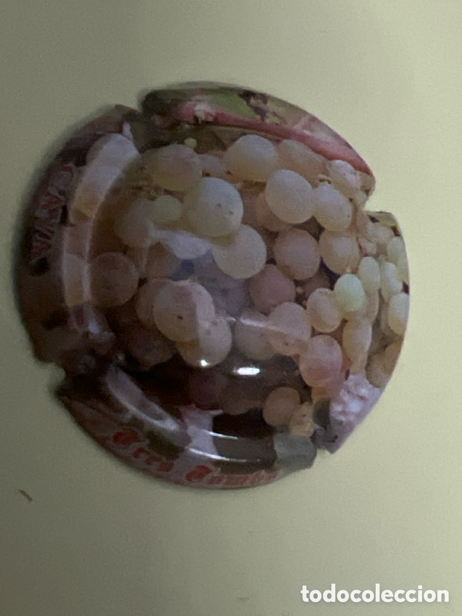 Coleccionismo de cava: T4/X11/G5. Marquistas Tres Tombs MTRT099030