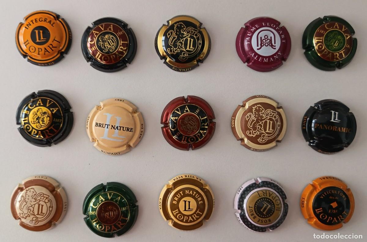 Coleccionismo de cava: 15 Chapas de Cava. Llopart. Diferentes.