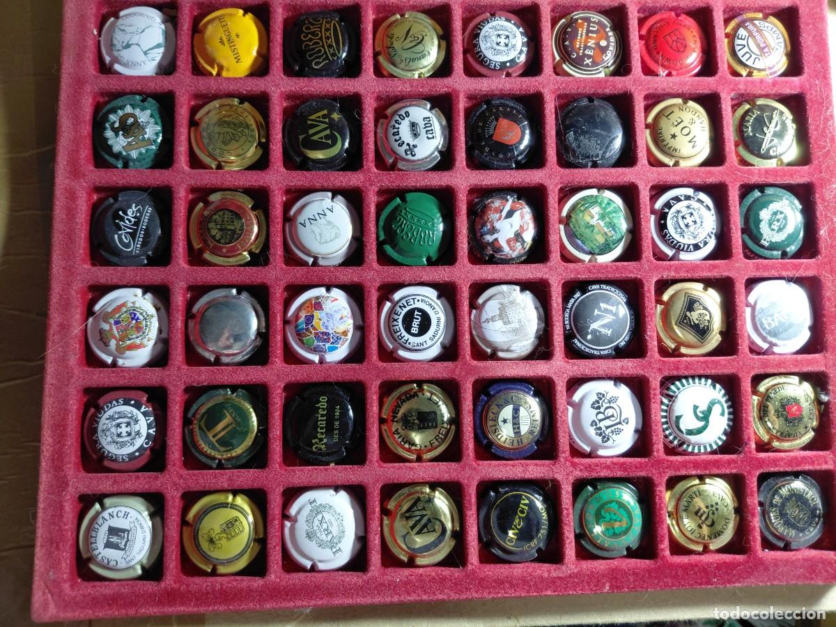 Coleccionismo de cava: CHAPAS CAVA / PLACAS - 48 DIFERENTES