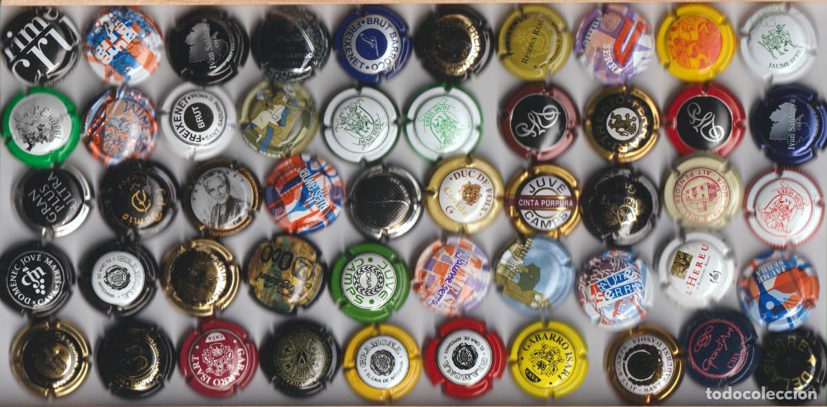 Sekt-Sammlung: PLACA DE CAVA - LOTE DE 50 PLACAS DE CAVA DIFERENTES , LA MAYORIA (NUEVAS SIN USAR)