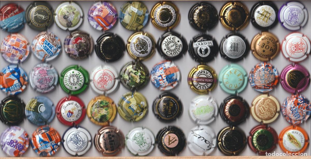 Coleccionismo de cava: PLACA DE CAVA - LOTE DE 50 PLACAS DE CAVA DIFERENTES , LA MAYORIA (NUEVAS SIN USAR)