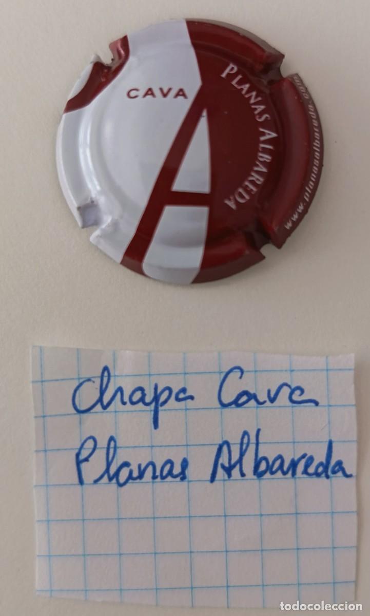 Coleccionismo de cava: Chapa de cava. Planas Albareda. - Foto 2