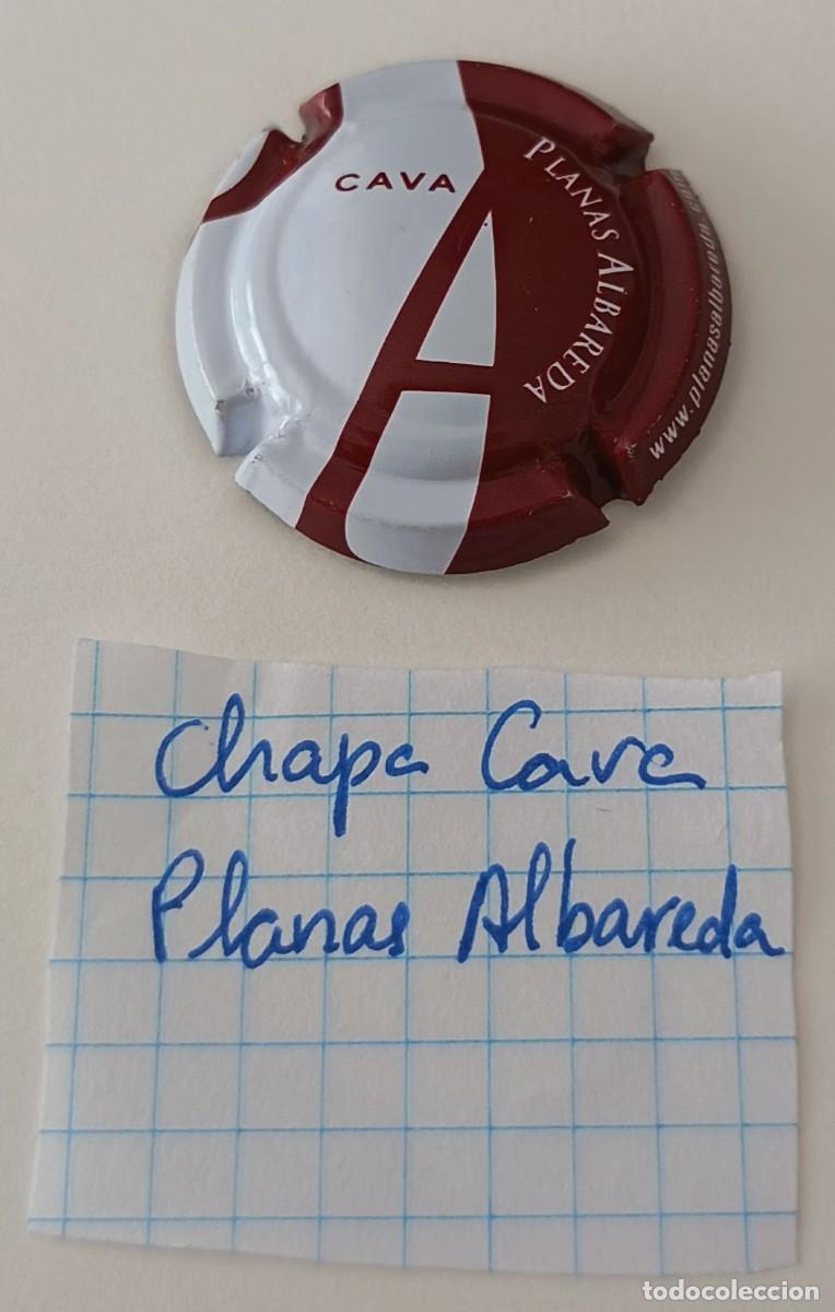 Coleccionismo de cava: Chapa de cava. Planas Albareda. - Foto 5