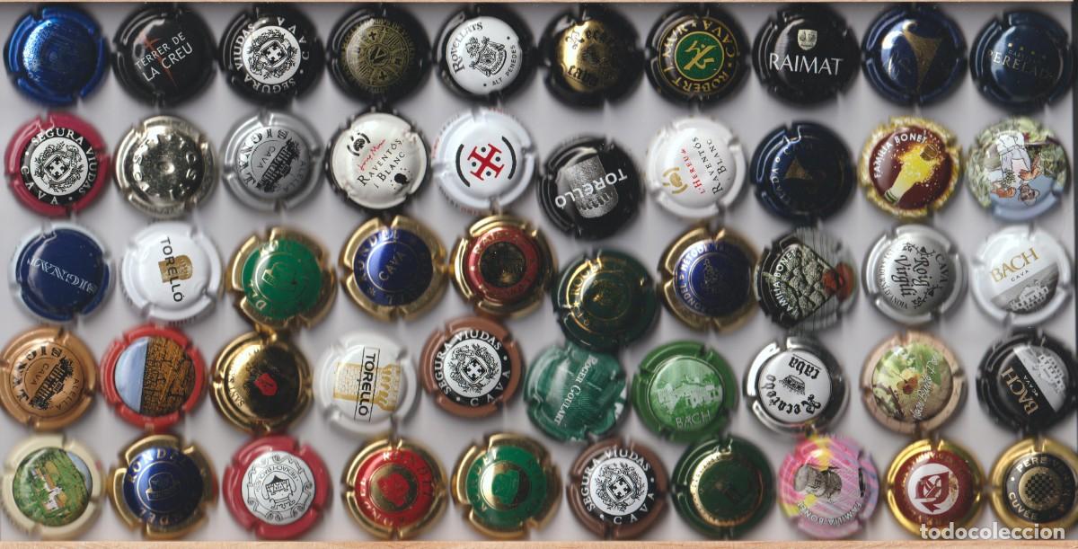 Coleccionismo de cava: PLACA DE CAVA - LOTE DE 50 PLACAS DE CAVA DIFERENTES , LA MAYORIA (NUEVAS SIN USAR)