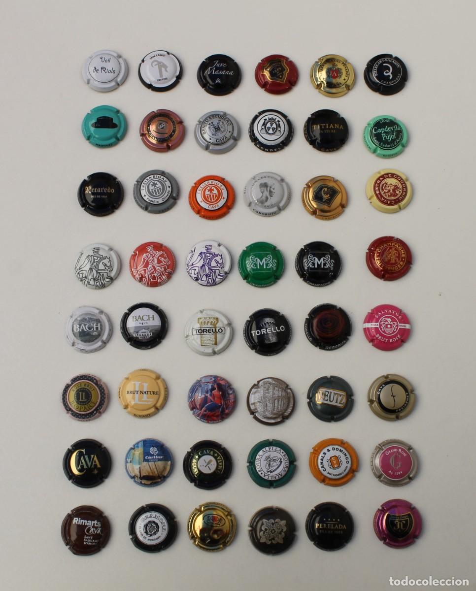Coleccionismo de cava: LOTE DE 48 PLACAS CHAPAS DE CAVA DIFERENTES