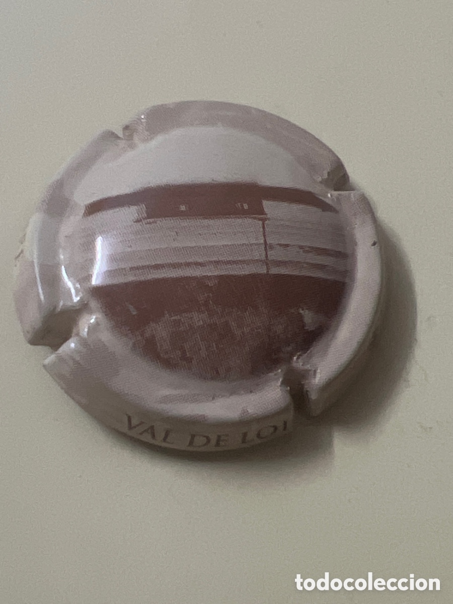 Coleccionismo de cava: T4/X19/E2. PLACA DE CHAMPAGNE - VAL DE LOIRE