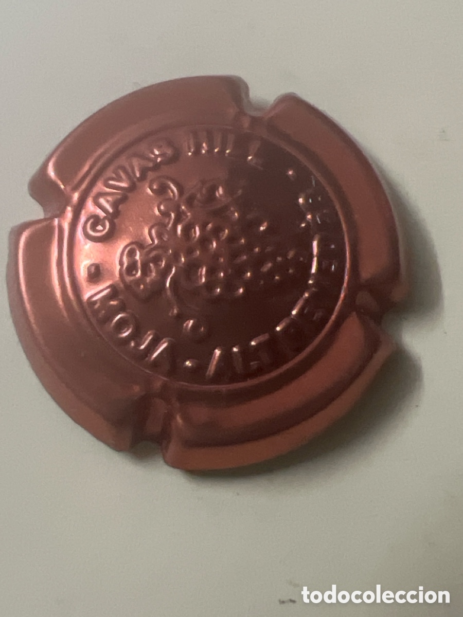 Coleccionismo de cava: T5/X14/B1. PLACA DE CAVA - HILL