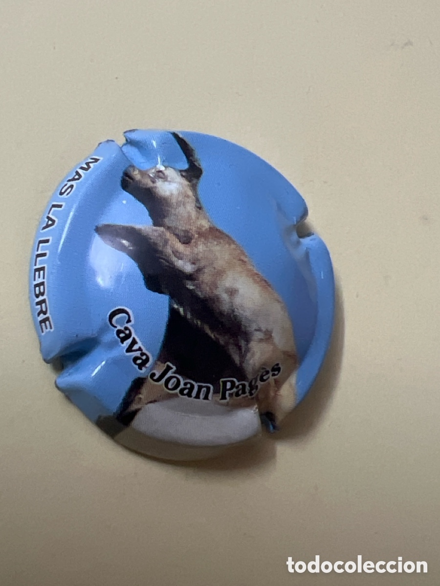Coleccionismo de cava: T4/X28/D3. Cavas Juan Pag&egrave;s C&oacute;digo: EJPG037595