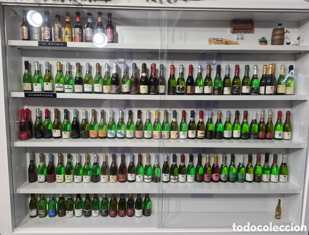 Sekt-Sammlung: COLECCI&Oacute;N &Uacute;NICA DE MINIATURAS CHAMPAGNE