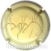 Coleccionismo de cava: PLACA DE CAVA - Associacions i clubs - A.A.C.G. 2001 Olot 2004. X 11143