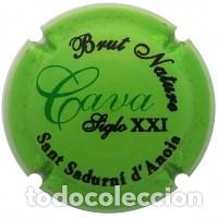 Coleccionismo de cava: PLACA DE CAVA - PIRULES - Brut Nature Cava Siglo XXI Sant Sadurn&iacute; d'Anoia. - X 15495
