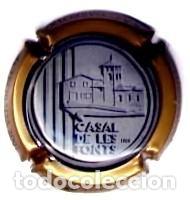 Coleccionismo de cava: PLACA DE CAVA - PIRULES - 4a Trobada 2007. 20 Anys Barri Les Fonts, Olot. A.A.C. Garrotxa. X 31079