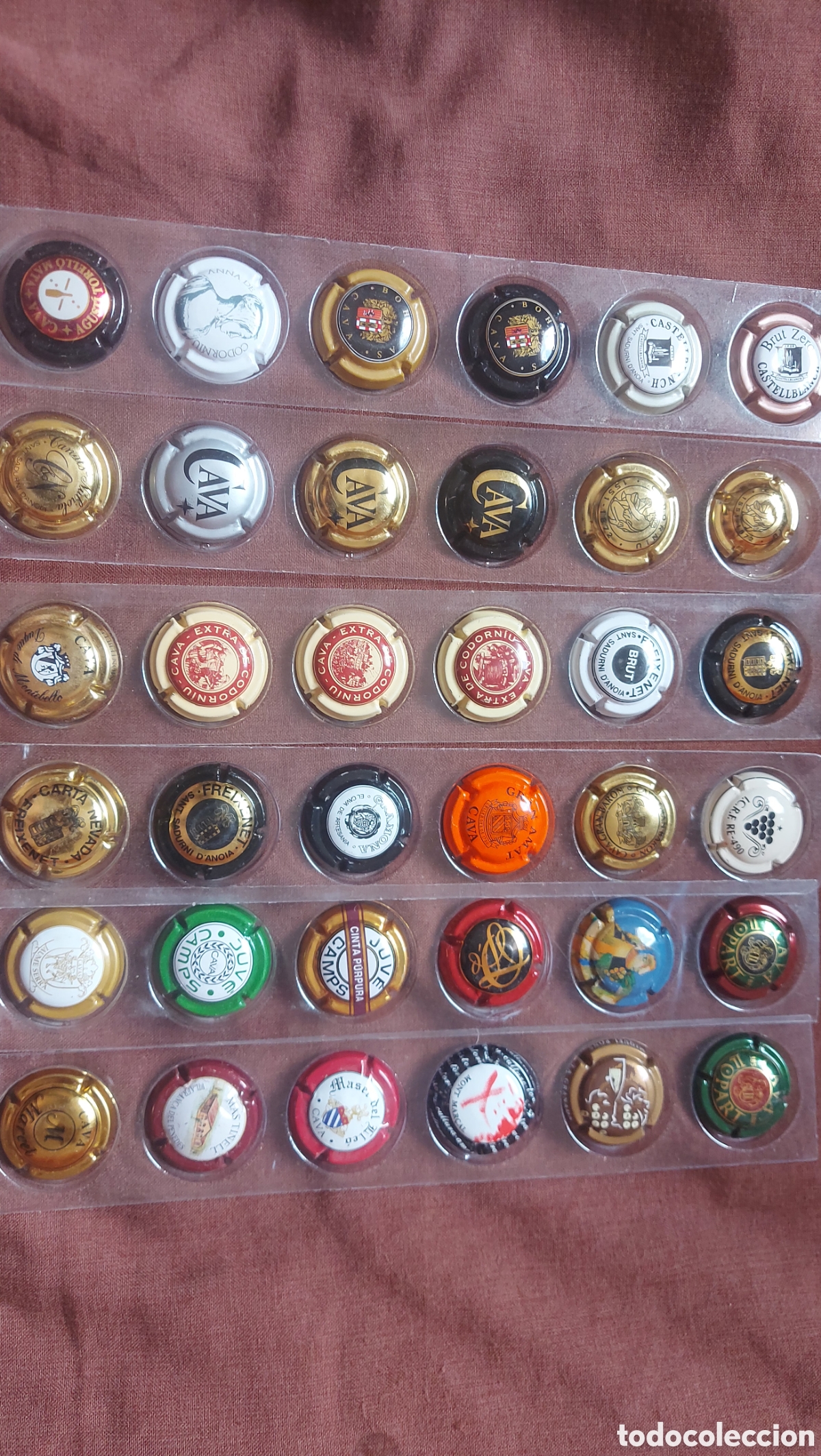 Coleccionismo de cava: COLECCI&Oacute;N DE 40 CHAPAS DE CAVA - Foto 9