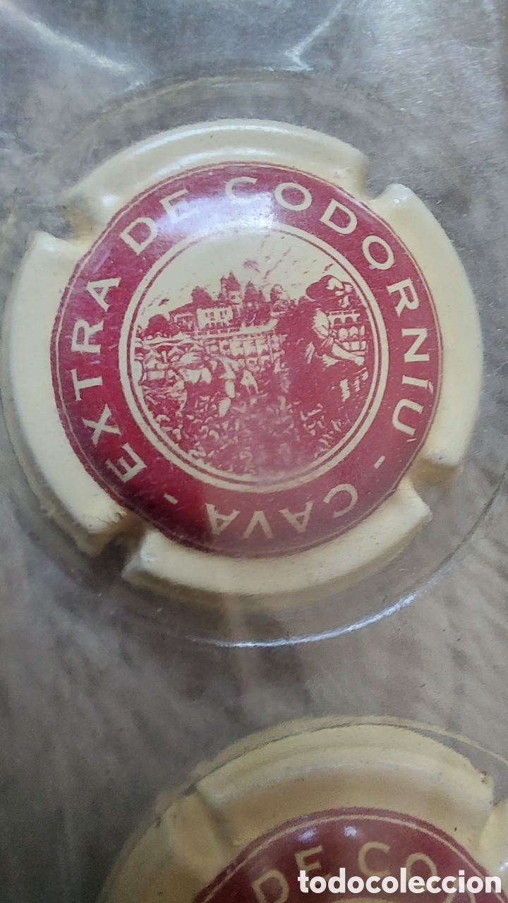Coleccionismo de cava: COLECCI&Oacute;N DE 40 CHAPAS DE CAVA - Foto 13