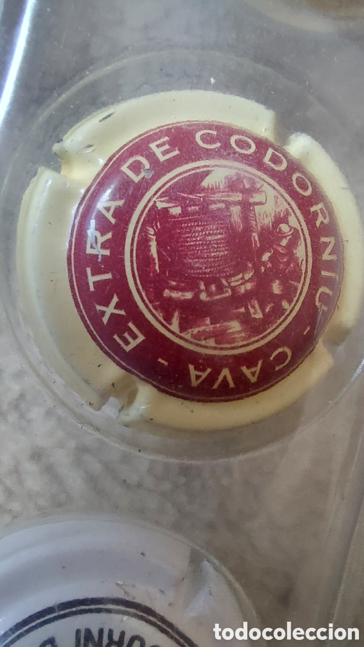 Coleccionismo de cava: COLECCI&Oacute;N DE 40 CHAPAS DE CAVA - Foto 14