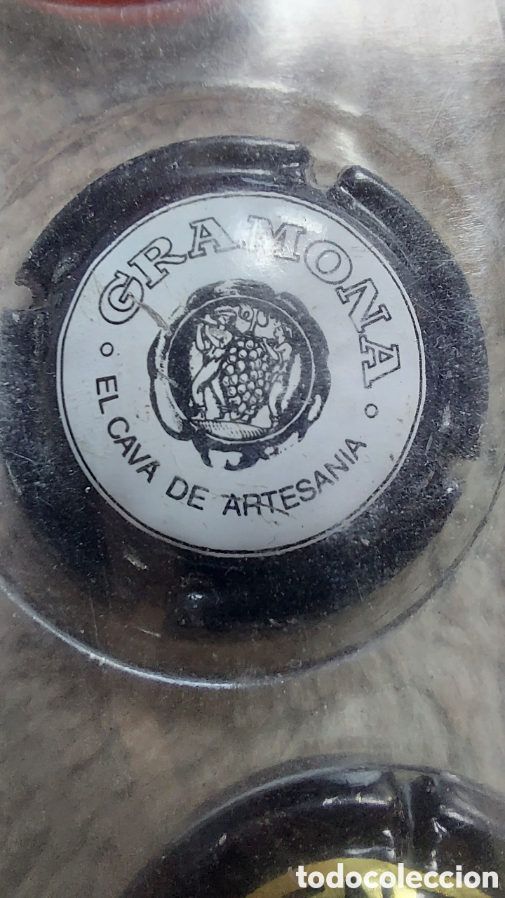 Coleccionismo de cava: COLECCI&Oacute;N DE 40 CHAPAS DE CAVA - Foto 18