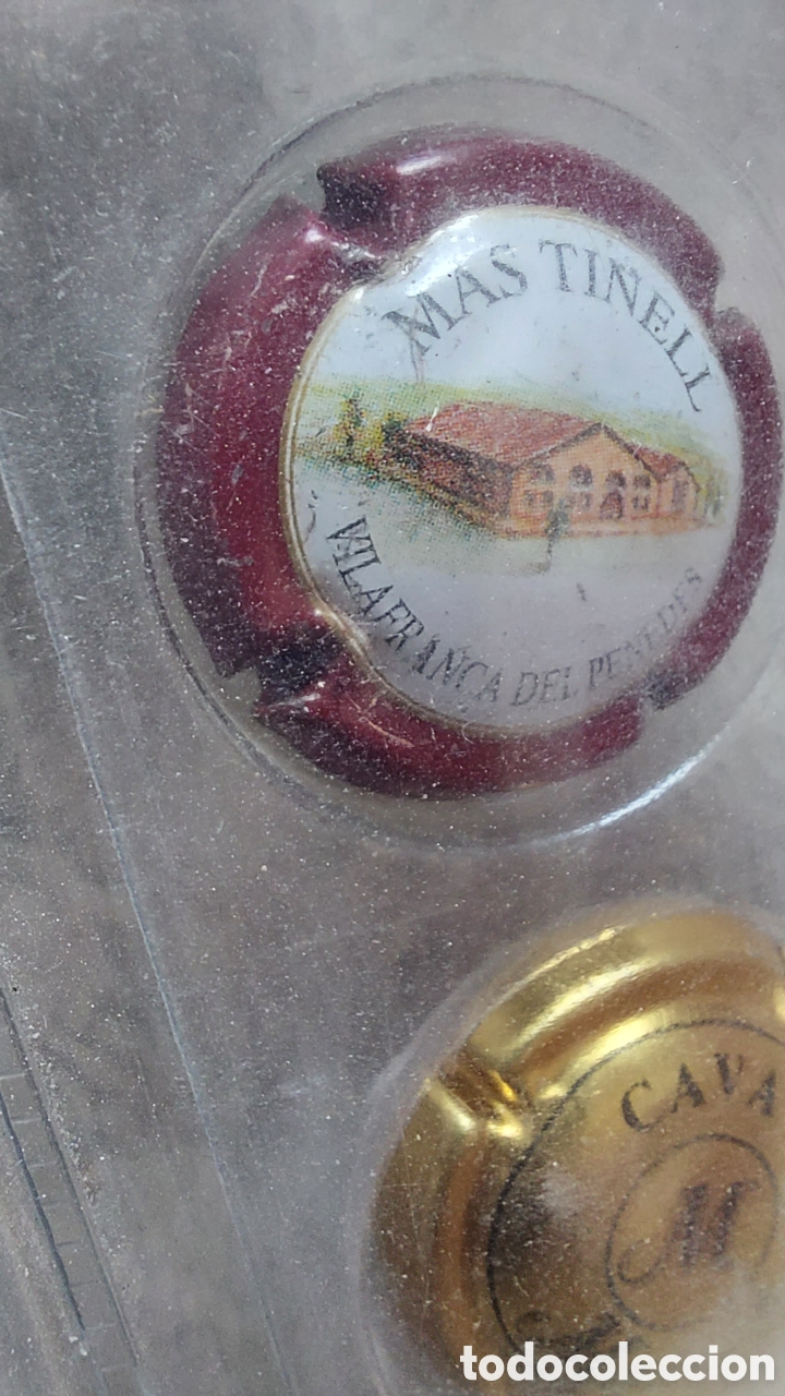 Coleccionismo de cava: COLECCI&Oacute;N DE 40 CHAPAS DE CAVA - Foto 19