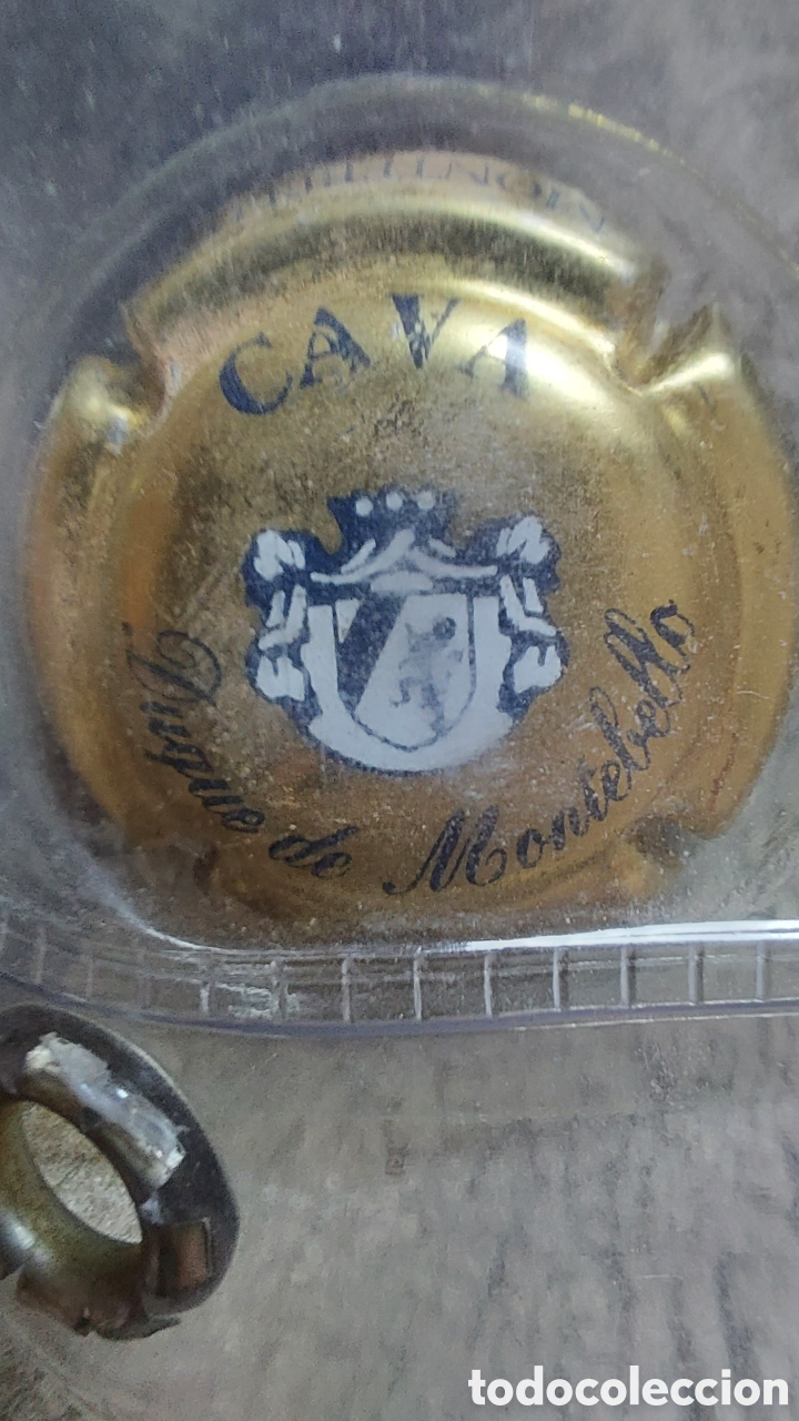 Coleccionismo de cava: COLECCI&Oacute;N DE 40 CHAPAS DE CAVA - Foto 23