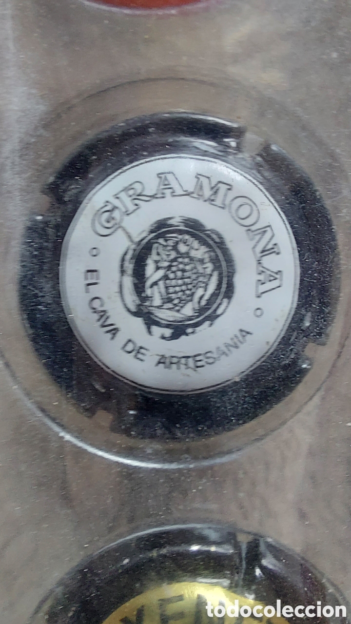 Coleccionismo de cava: COLECCI&Oacute;N DE 40 CHAPAS DE CAVA - Foto 24