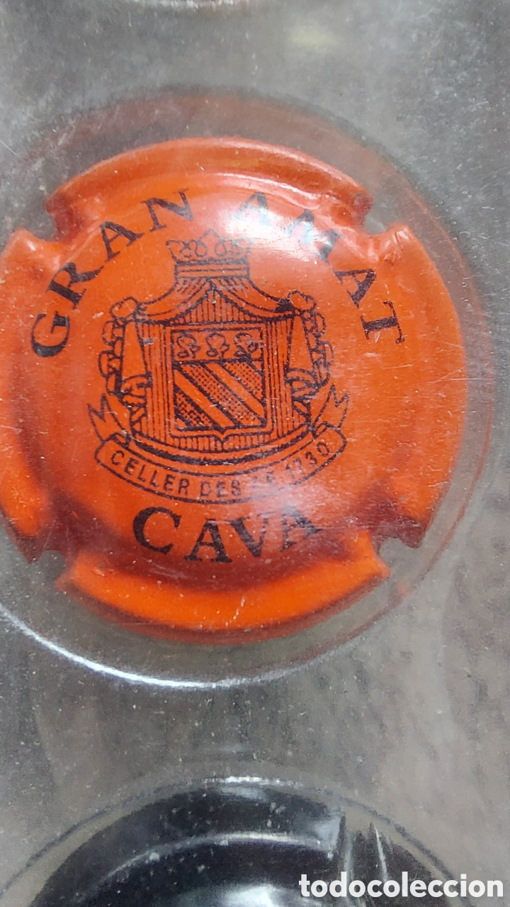 Coleccionismo de cava: COLECCI&Oacute;N DE 40 CHAPAS DE CAVA - Foto 25