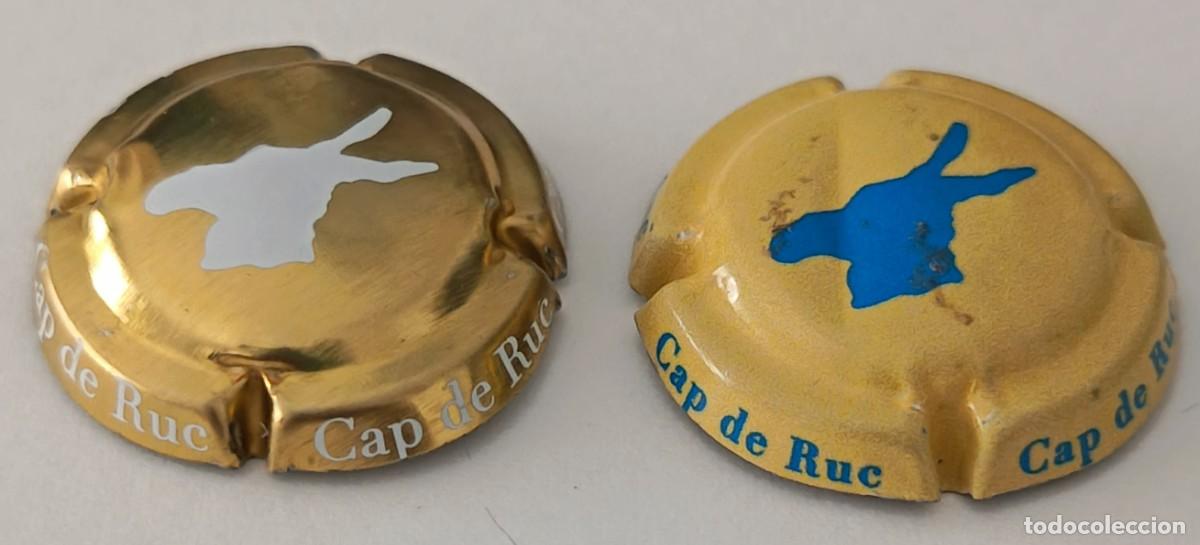 Coleccionismo de cava: 2 Chapas o placas. Cava Cap de ruc.