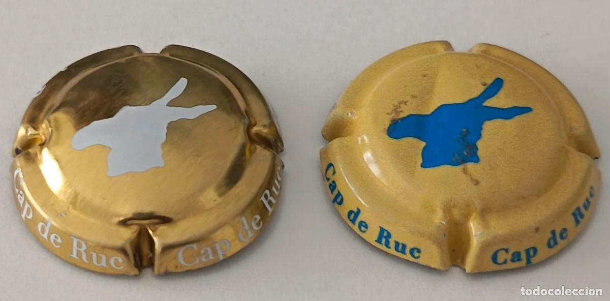 Coleccionismo de cava: 2 Chapas o placas. Cava Cap de ruc. - Foto 5