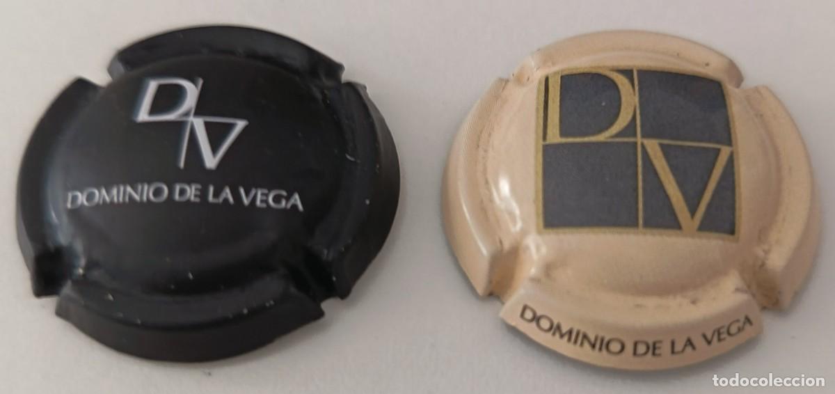 Coleccionismo de cava: 2 Chapas o placas. Cava Dominio de la Vega.